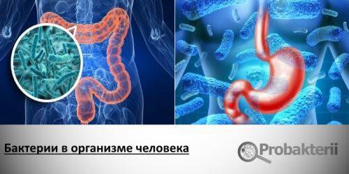 Микрофлора ротовой полости: неочевидные проблемы и очевидные решения