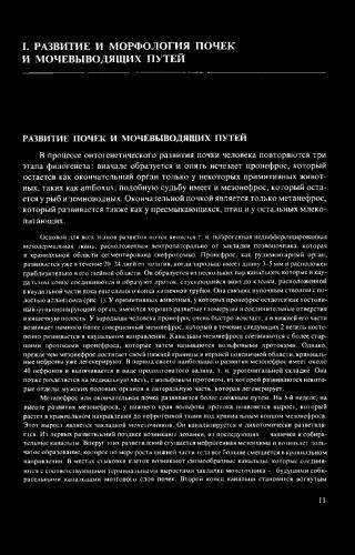 Причины роста кисты почки