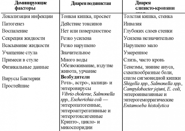 Кишечная инфекция – симптомы, лечение, профилактика у взрослых