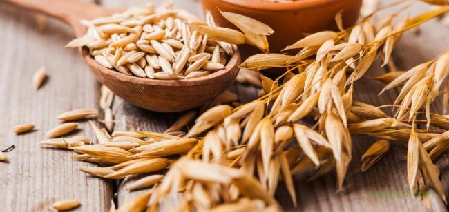 Что полезно для печени: список продуктов