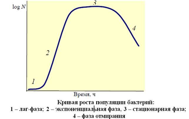Какие факторы способствуют росту и развитию бактерий в различных средах