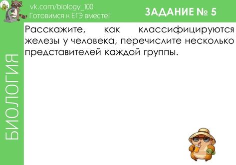 Желчь вырабатывается а поджелудочной железой б печенью в тонким кишечником