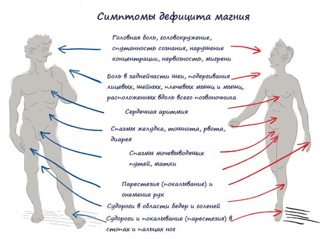 Недостаток магния в организме - симптомы у женщин, причины и лечение