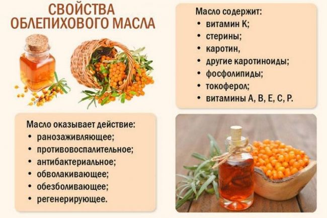 Облепиха. лечебные свойства. рецепты применения и противопоказания