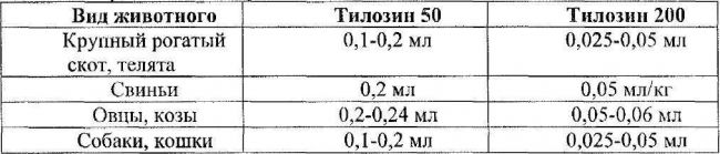 Тилозин 50 дозировка для птиц. Тилозин для собак инструкция по применению. Особенности применения у кошек