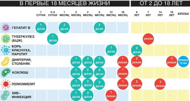 Календарь и таблица прививок для детей. самые важные прививки для ребенка