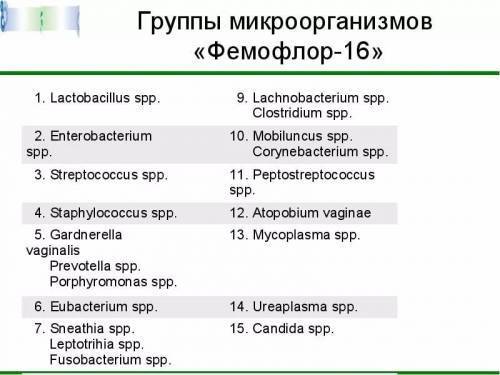 Микрофлора влагалища