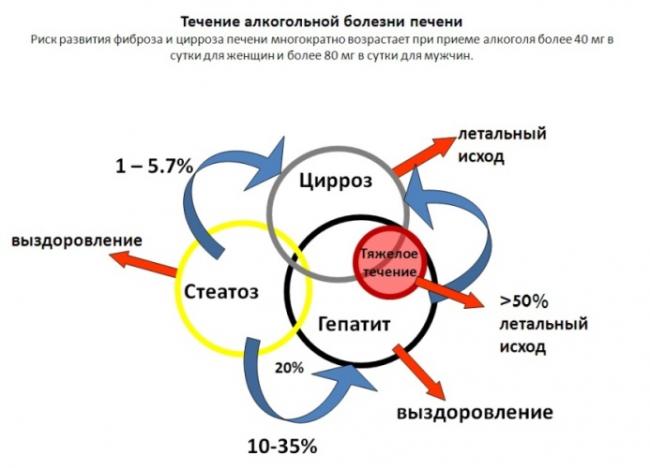 Какими препаратами лечат цирроз печени?