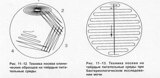 Методы культивирования анаэробов — студопедия