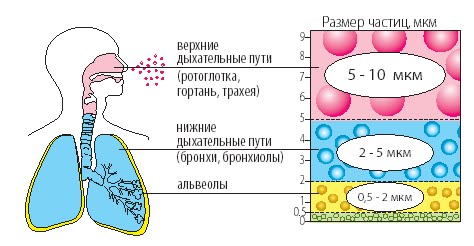 Ингаляции с беродуалом при сухом кашле — лучшее решение