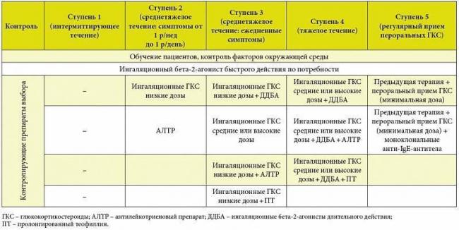 Таблетки от астмы – противоастматические препараты от бронхиальной: список лучших