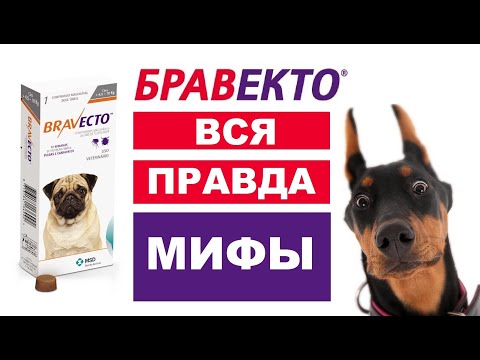 Внимание, бравекто.