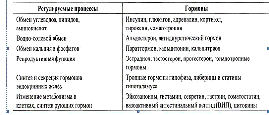 Гормон глюкагон: что это за гормон, функции, где содержится, как вырабатывается