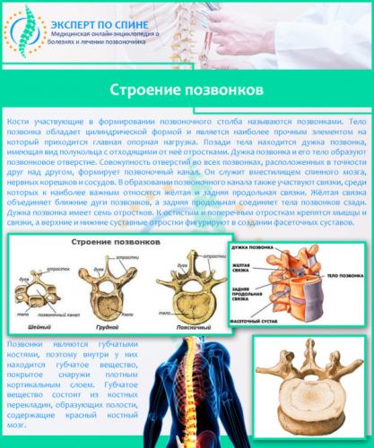 Компрессионный перелом позвоночника: что это такое, симптомы, лечение, последствия перелома позвонков