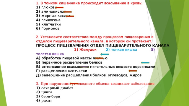 Желчь в организме человека отвечает за обмен