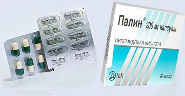 Палин - инструкция по применению, аналоги, отзывы, цена