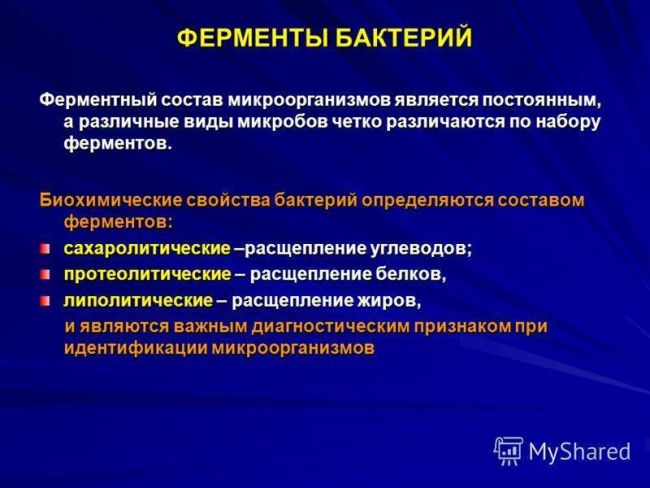 Разнообразие биохимических свойств бактерий