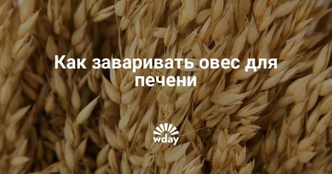 Функции печени. для чего печень нужна человеку и за что отвечает печень в организме человека