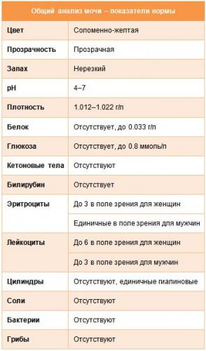 Диурез — что это за показатель и как его рассчитать?