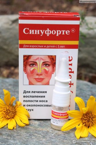 Синуфорте