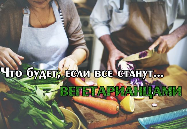 Вегетарианство и бодибилдинг