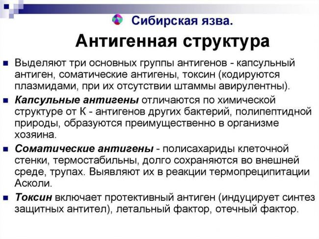 Скачать мук 4.2.2413-08 лабораторная диагностика и обнаружение возбудителя сибирской язвы